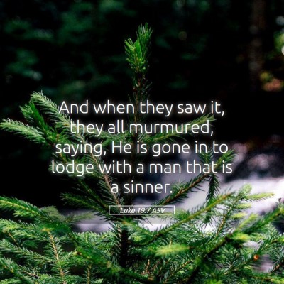 Picture 05 - Luke 19:7 ASV - And when they saw it, they all murmured, saying, - Bible Verse Picture