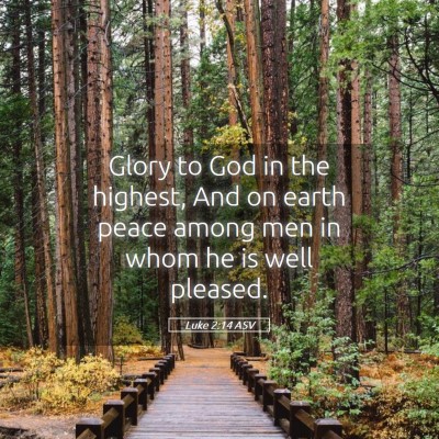 Picture 05 - Luke 2:14 ASV - Glory to God in the highest, And on earth peace - Bible Verse Picture