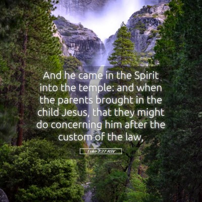 Picture 05 - Luke 2:27 ASV - And he came in the Spirit into the temple: and - Bible Verse Picture