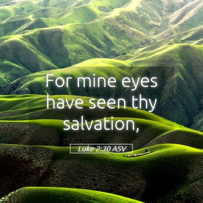 Picture 05 - Luke 2:30 ASV - For mine eyes have seen thy - Bible Verse Picture
