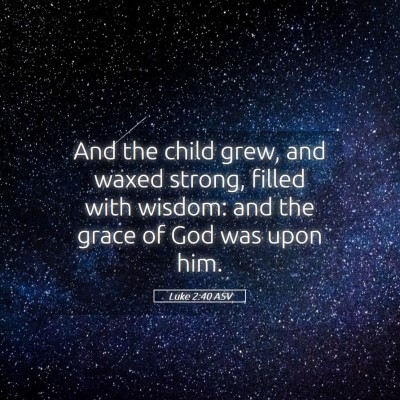 Picture 05 - Luke 2:40 ASV - And the child grew, and waxed strong, filled with - Bible Verse Picture