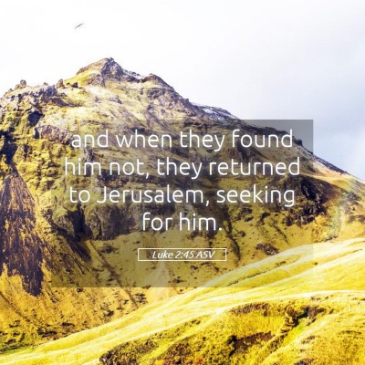 Picture 05 - Luke 2:45 ASV - and when they found him not, they returned to - Bible Verse Picture