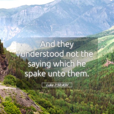 Picture 05 - Luke 2:50 ASV - And they understood not the saying which he spake - Bible Verse Picture