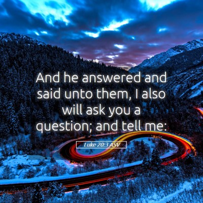 Picture 05 - Luke 20:3 ASV - And he answered and said unto them, I also will - Bible Verse Picture