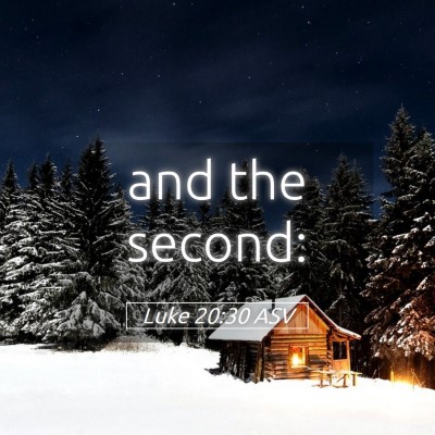 Picture 05 - Luke 20:30 ASV - and the - Bible Verse Picture