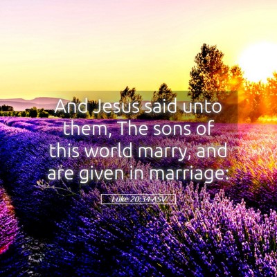 Picture 05 - Luke 20:34 ASV - And Jesus said unto them, The sons of this world - Bible Verse Picture