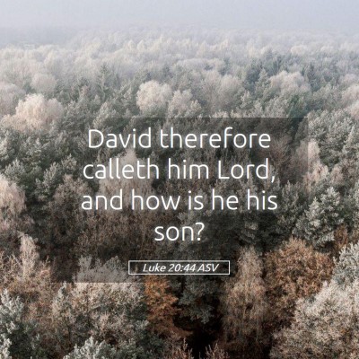 Picture 05 - Luke 20:44 ASV - David therefore calleth him Lord, and how is he - Bible Verse Picture