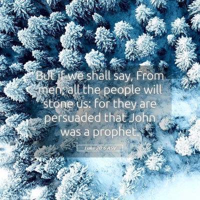 Picture 05 - Luke 20:6 ASV - But if we shall say, From men; all the people - Bible Verse Picture