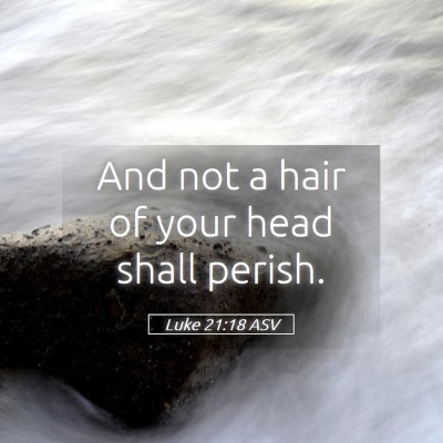 Picture 05 - Luke 21:18 ASV - And not a hair of your head shall - Bible Verse Picture