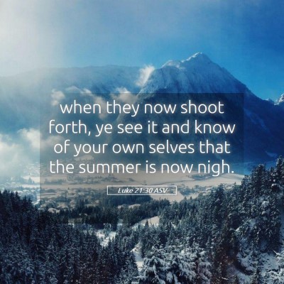 Picture 05 - Luke 21:30 ASV - when they now shoot forth, ye see it and know of - Bible Verse Picture