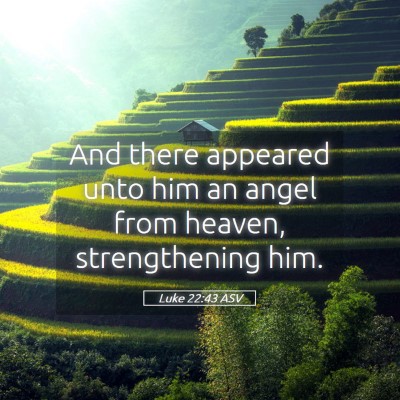 Picture 05 - Luke 22:43 ASV - And there appeared unto him an angel from heaven, - Bible Verse Picture