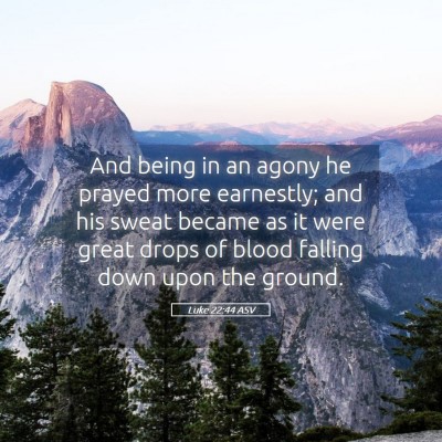 Picture 05 - Luke 22:44 ASV - And being in an agony he prayed more earnestly; - Bible Verse Picture