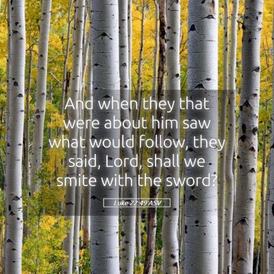 Picture 05 - Luke 22:49 ASV - And when they that were about him saw what would - Bible Verse Picture