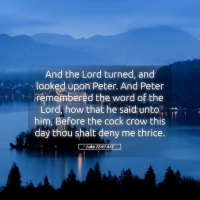 Picture 05 - Luke 22:61 ASV - And the Lord turned, and looked upon Peter. And - Bible Verse Picture