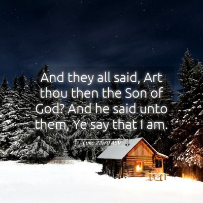 Picture 05 - Luke 22:70 ASV - And they all said, Art thou then the Son of God? - Bible Verse Picture