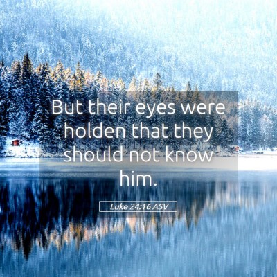 Picture 05 - Luke 24:16 ASV - But their eyes were holden that they should not - Bible Verse Picture