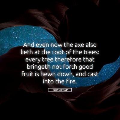Picture 05 - Luke 3:9 ASV - And even now the axe also lieth at the root of - Bible Verse Picture