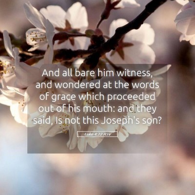 Picture 05 - Luke 4:22 ASV - And all bare him witness, and wondered at the - Bible Verse Picture