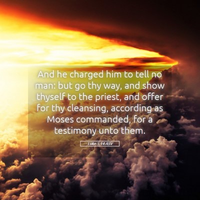 Picture 05 - Luke 5:14 ASV - And he charged him to tell no man: but go thy - Bible Verse Picture