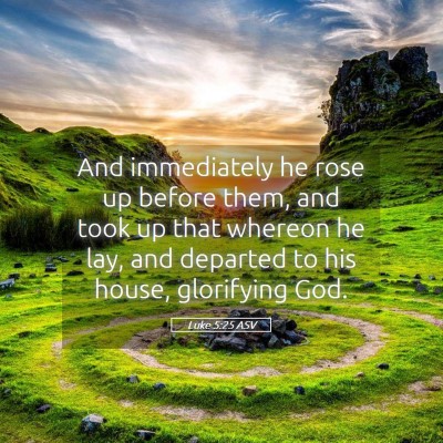 Picture 05 - Luke 5:25 ASV - And immediately he rose up before them, and took - Bible Verse Picture