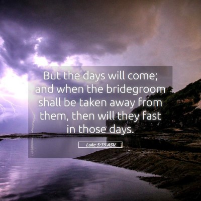 Picture 05 - Luke 5:35 ASV - But the days will come; and when the bridegroom - Bible Verse Picture