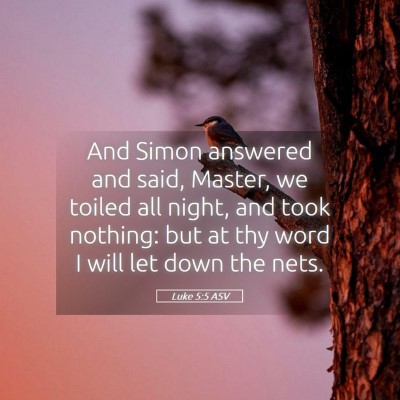 Picture 05 - Luke 5:5 ASV - And Simon answered and said, Master, we toiled - Bible Verse Picture
