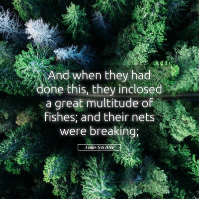 Picture 05 - Luke 5:6 ASV - And when they had done this, they inclosed a - Bible Verse Picture