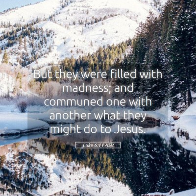 Picture 05 - Luke 6:11 ASV - But they were filled with madness; and communed - Bible Verse Picture