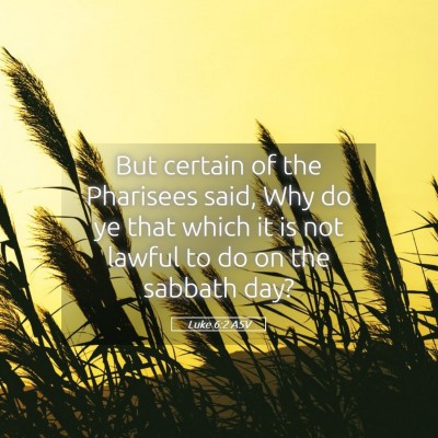 Picture 05 - Luke 6:2 ASV - But certain of the Pharisees said, Why do ye that - Bible Verse Picture