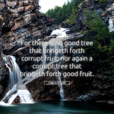 Picture 05 - Luke 6:43 ASV - For there is no good tree that bringeth forth - Bible Verse Picture