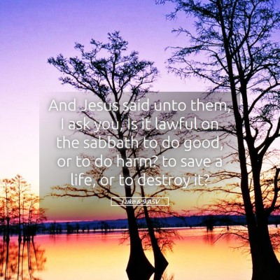 Picture 05 - Luke 6:9 ASV - And Jesus said unto them, I ask you, Is it lawful - Bible Verse Picture