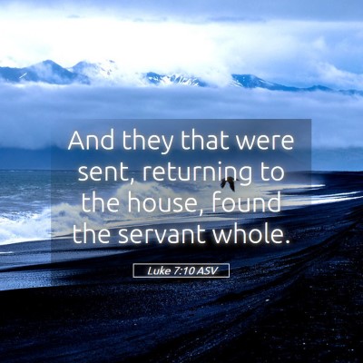 Picture 05 - Luke 7:10 ASV - And they that were sent, returning to the house, - Bible Verse Picture
