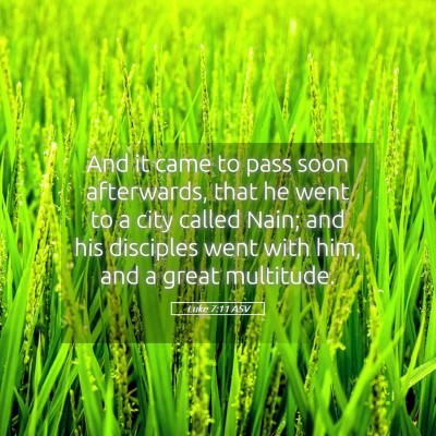 Picture 05 - Luke 7:11 ASV - And it came to pass soon afterwards, that he went - Bible Verse Picture