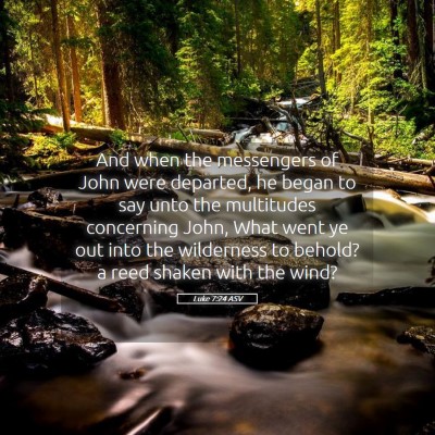 Picture 05 - Luke 7:24 ASV - And when the messengers of John were departed, he - Bible Verse Picture
