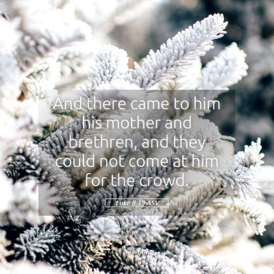 Picture 05 - Luke 8:19 ASV - And there came to him his mother and brethren, - Bible Verse Picture