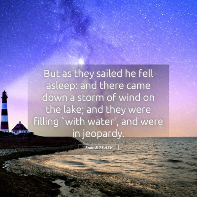 Picture 05 - Luke 8:23 ASV - But as they sailed he fell asleep: and there came - Bible Verse Picture
