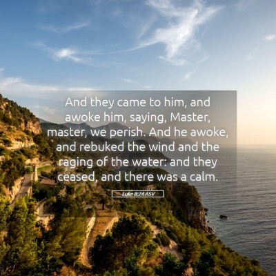 Picture 05 - Luke 8:24 ASV - And they came to him, and awoke him, saying, - Bible Verse Picture