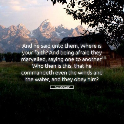 Picture 05 - Luke 8:25 ASV - And he said unto them, Where is your faith? And - Bible Verse Picture