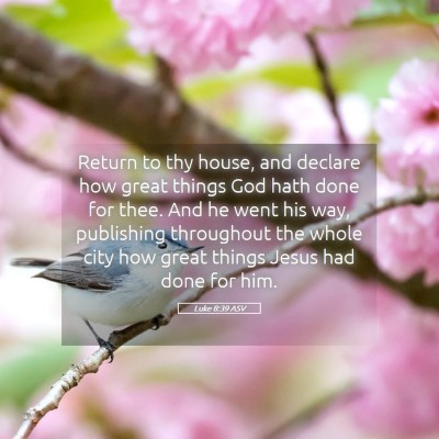Picture 05 - Luke 8:39 ASV - Return to thy house, and declare how great things - Bible Verse Picture