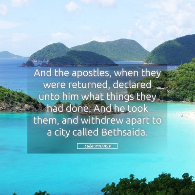 Picture 05 - Luke 9:10 ASV - And the apostles, when they were returned, - Bible Verse Picture