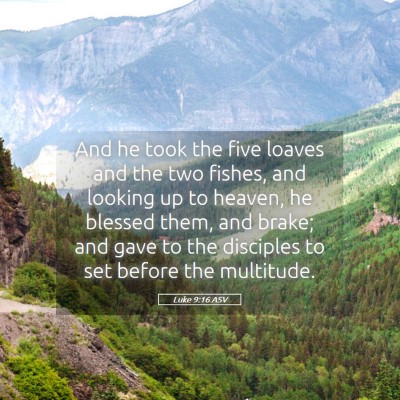 Picture 05 - Luke 9:16 ASV - And he took the five loaves and the two fishes, - Bible Verse Picture