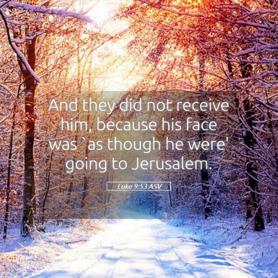 Picture 05 - Luke 9:53 ASV - And they did not receive him, because his face - Bible Verse Picture