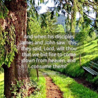 Picture 05 - Luke 9:54 ASV - And when his disciples James and John saw `this', - Bible Verse Picture