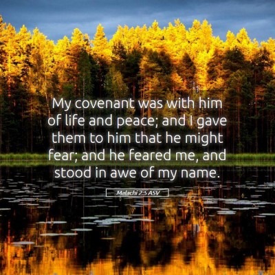 Picture 05 - Malachi 2:5 ASV - My covenant was with him of life and peace; and I - Bible Verse Picture