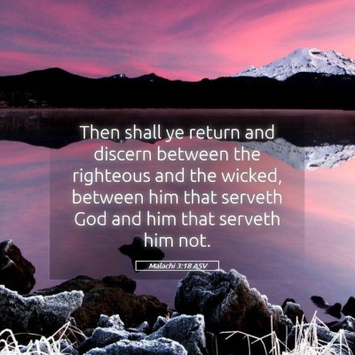 Picture 05 - Malachi 3:18 ASV - Then shall ye return and discern between the - Bible Verse Picture