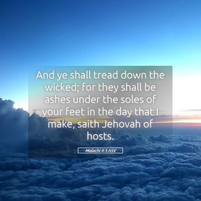Picture 05 - Malachi 4:3 ASV - And ye shall tread down the wicked; for they - Bible Verse Picture
