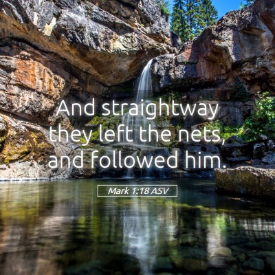 Picture 05 - Mark 1:18 ASV - And straightway they left the nets, and followed - Bible Verse Picture