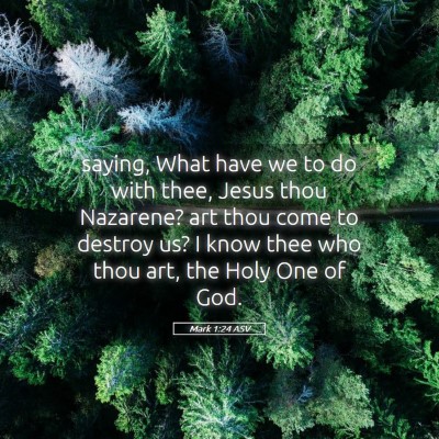 Picture 05 - Mark 1:24 ASV - saying, What have we to do with thee, Jesus thou - Bible Verse Picture