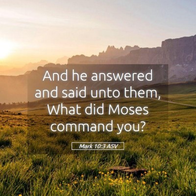 Picture 05 - Mark 10:3 ASV - And he answered and said unto them, What did - Bible Verse Picture