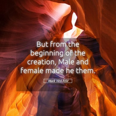 Picture 05 - Mark 10:6 ASV - But from the beginning of the creation, Male and - Bible Verse Picture